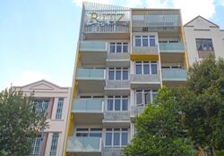 Ritz @ Farrer (D8), Apartment #639095951